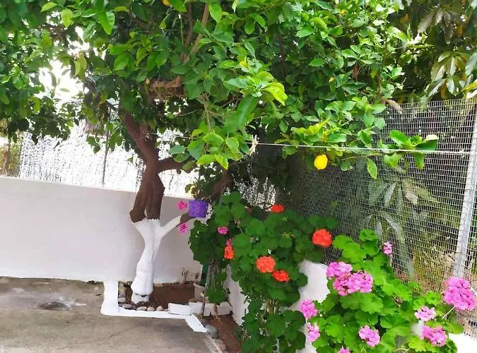 Meimetis House Διαμέρισμα